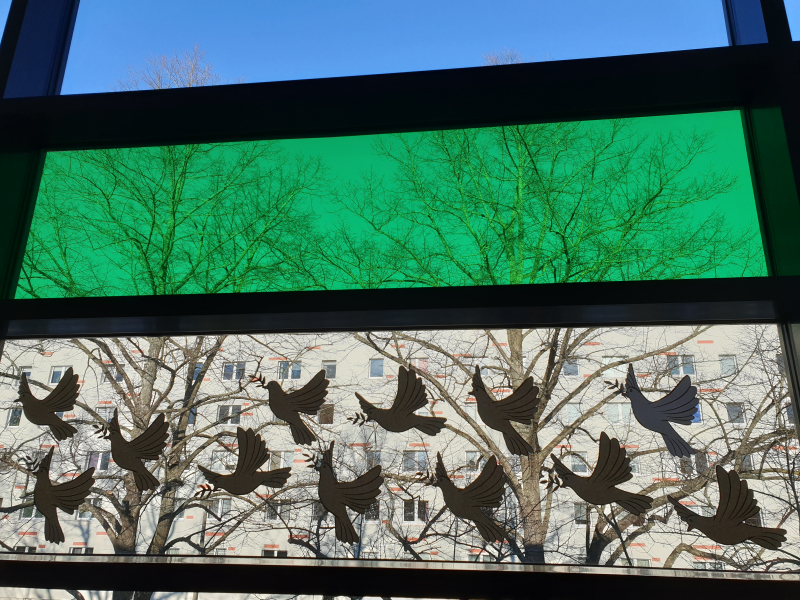 Homepage der Grundschule \